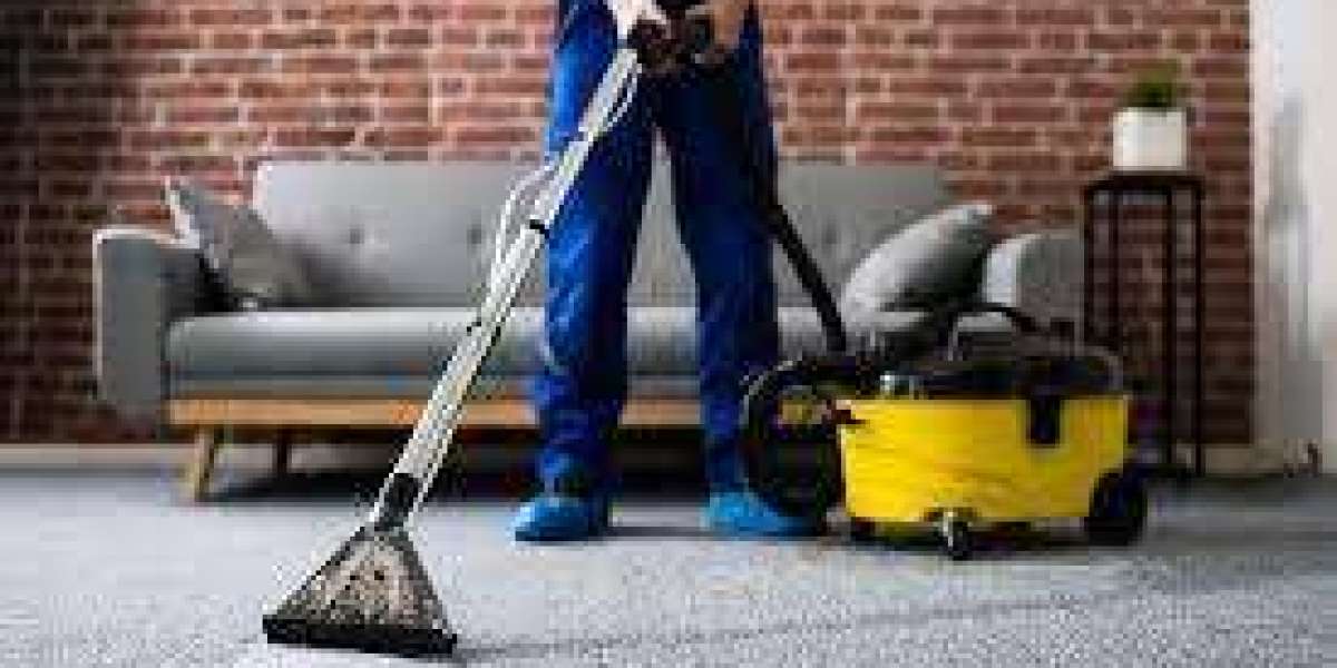 Quick and Efficient Carpet Cleaning Services You Can Count On