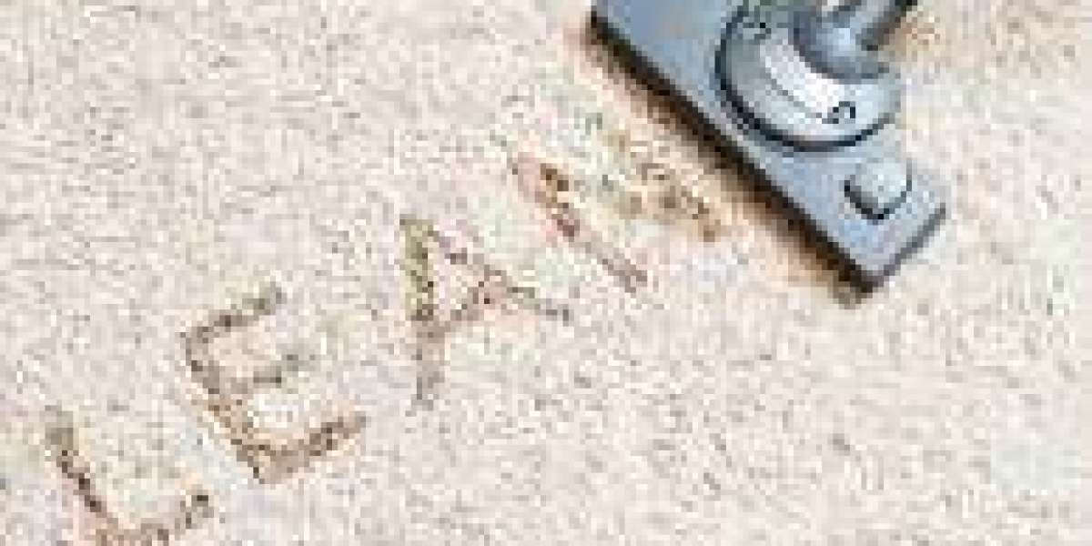 Professional Carpet Cleaning: The Key to Healthier Living Spaces