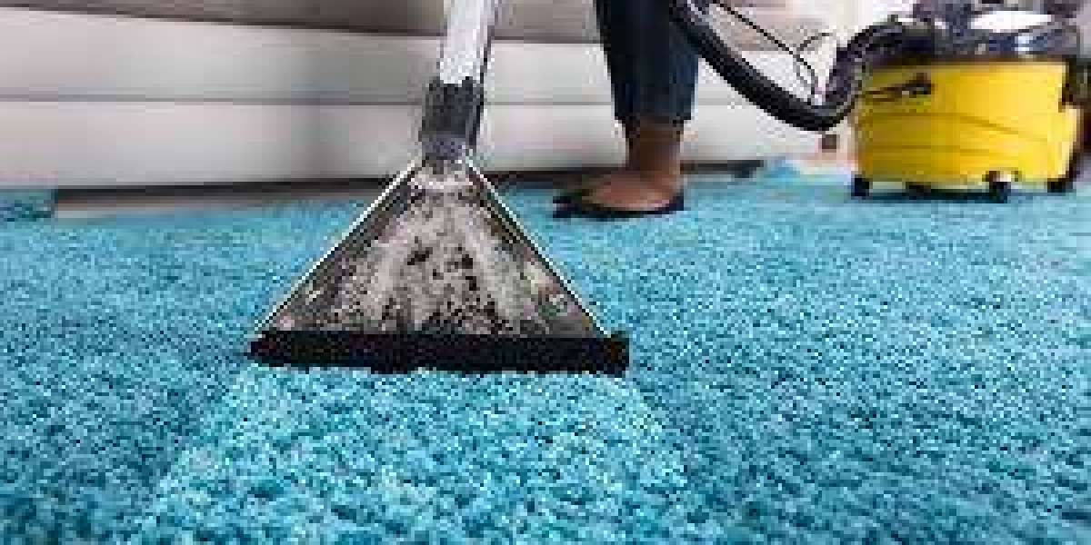 ﻿﻿Why Professional Carpet Cleaning Is Important for Home Wellness Introduction