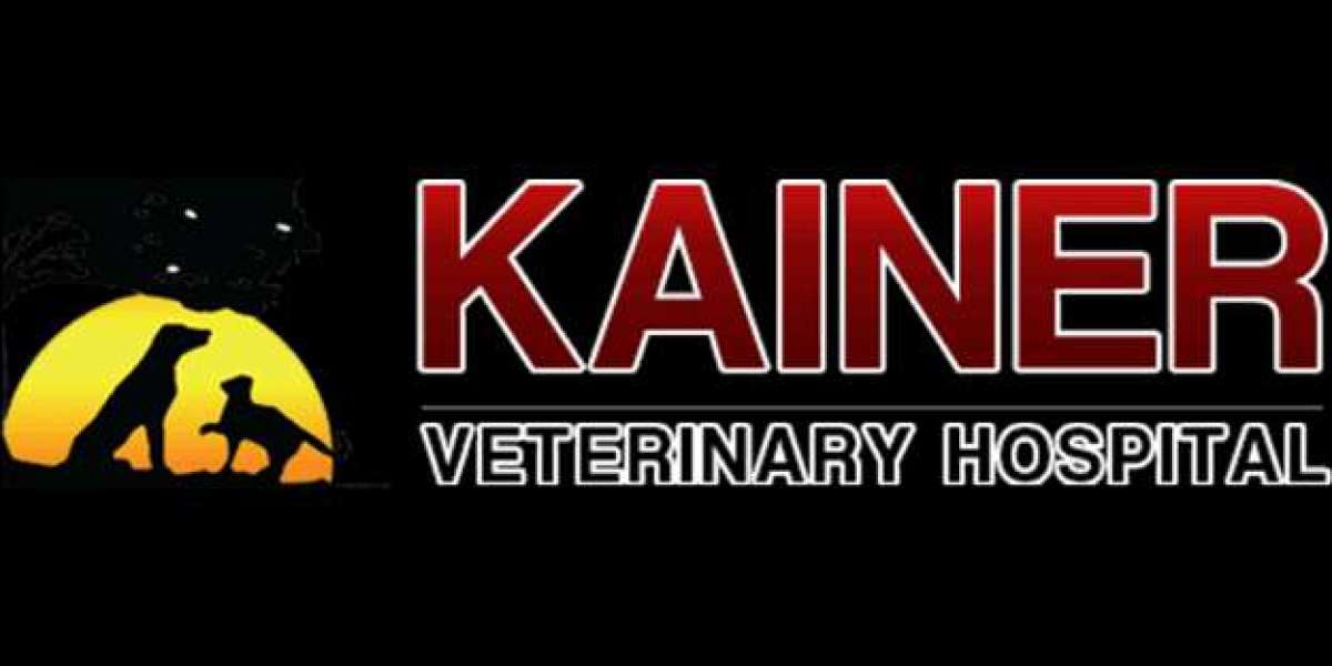 Comprehensive Preventive Care at Your Trusted Veterinary Hospital